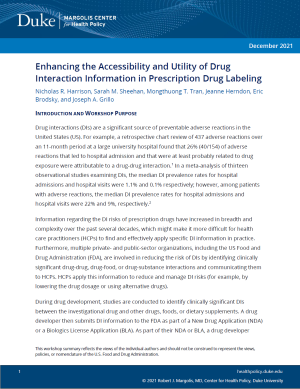An image of the first page of the workshop summary document