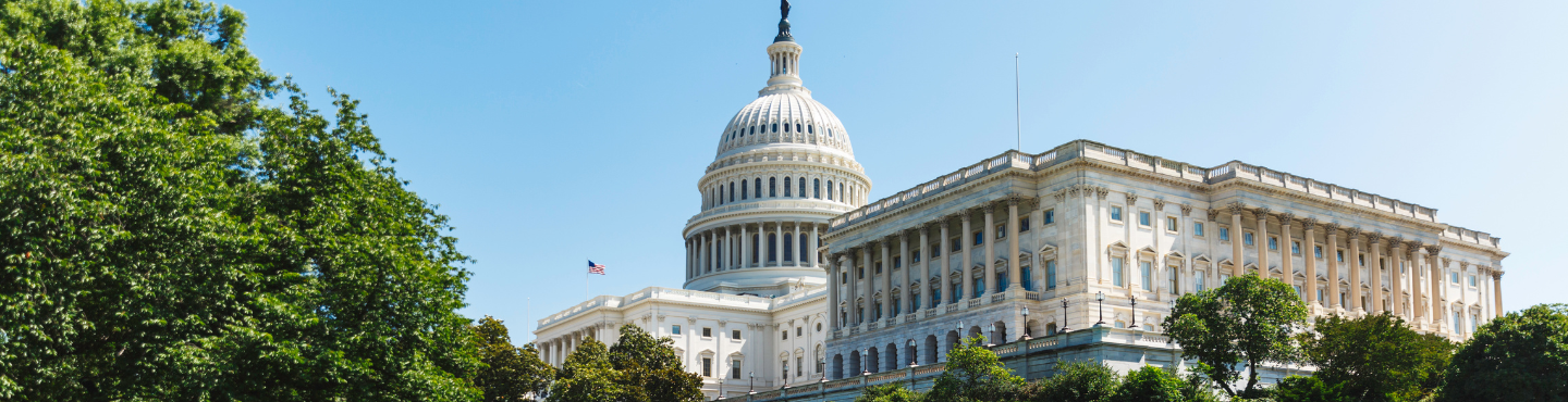 picture of the US Capitol